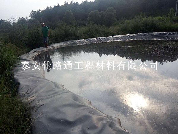 雨季焊接魚塘防滲膜，這 6 大要點(diǎn)必須掌握！